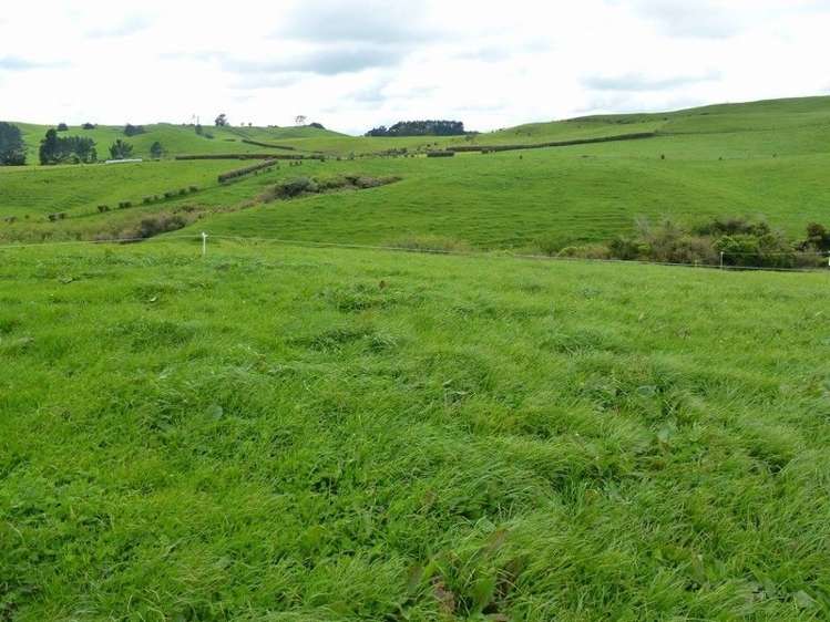 1265 Mountain Road Inglewood_13