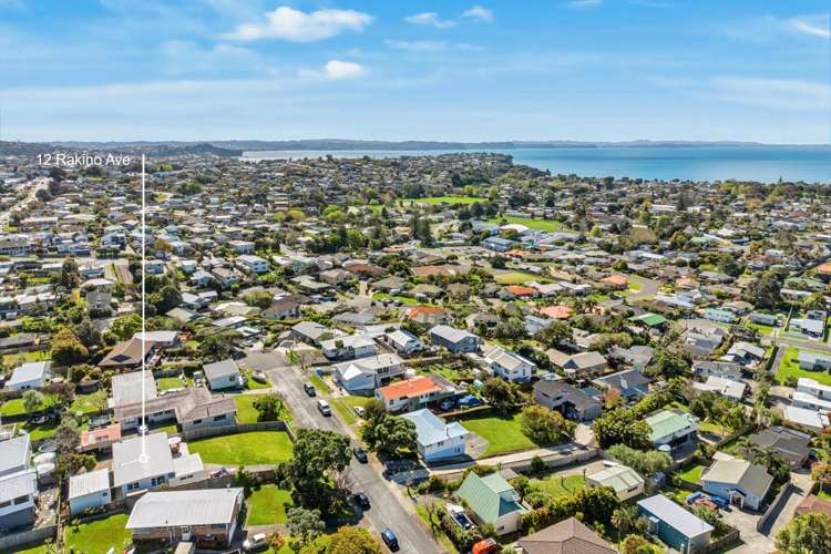 12 Rakino Avenue Manly_33