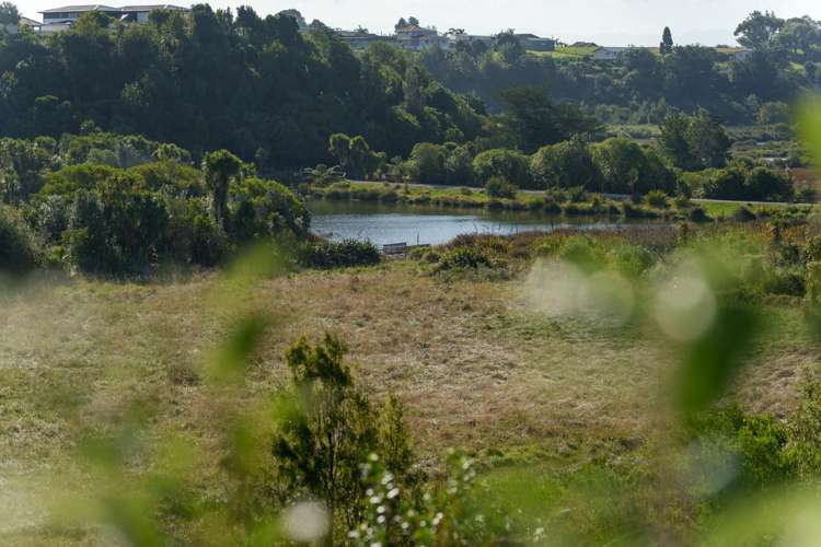 72 Sereno Vista Bellevue_19