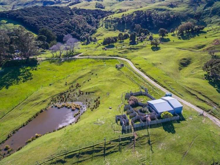 175 Barrys Bay Valley Road Duvauchelle_5