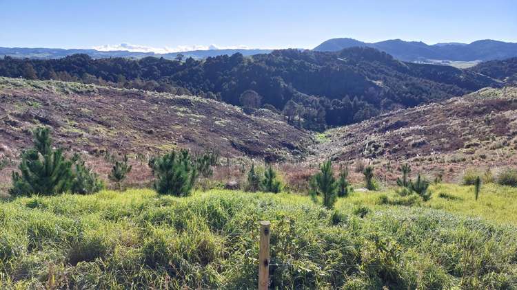 Lot 8/47 Kamea Place_0