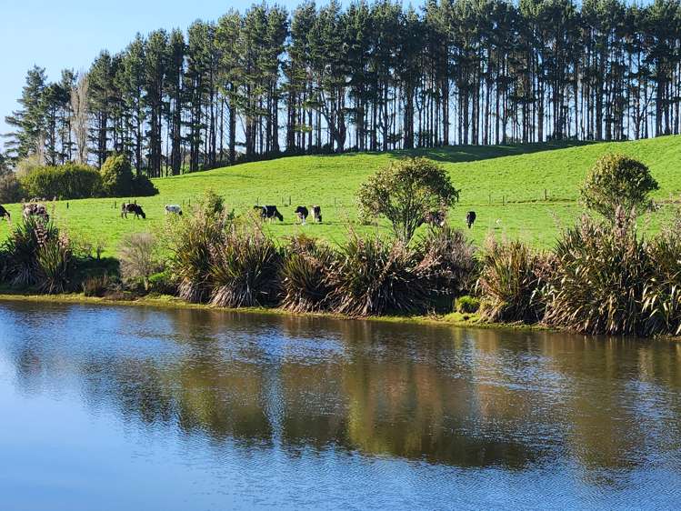 137 Ratapiko Road Ratapiko_5