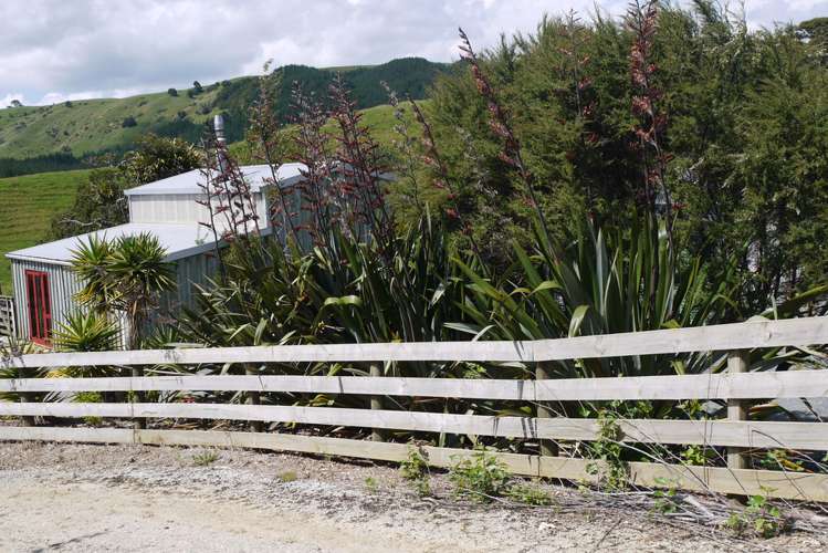 121 Guy Road Kaipara Flats_7