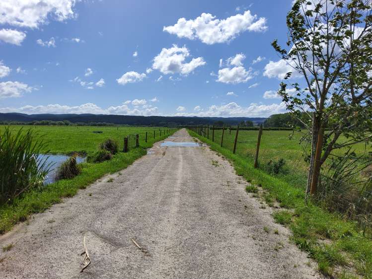 4980 Galatea Road Murupara Surrounds_18