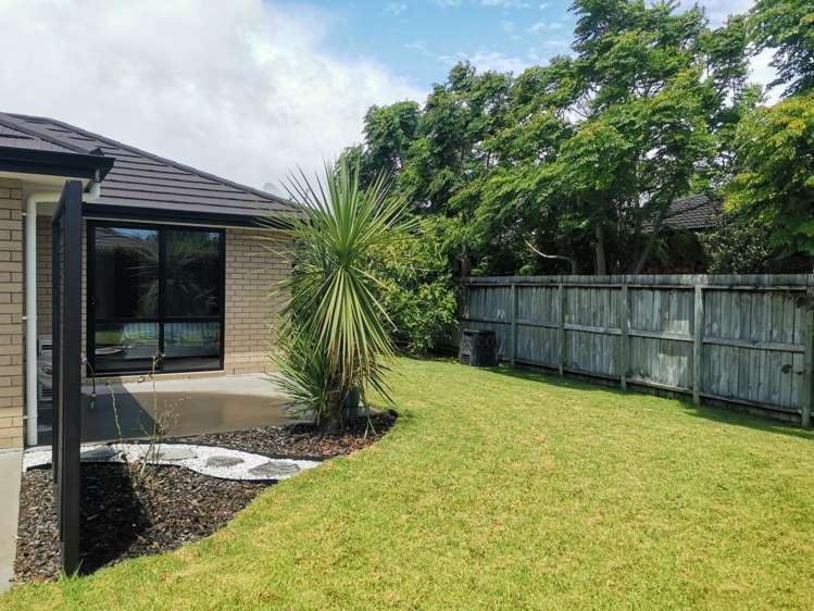 16 Roto View One Tree Point_18