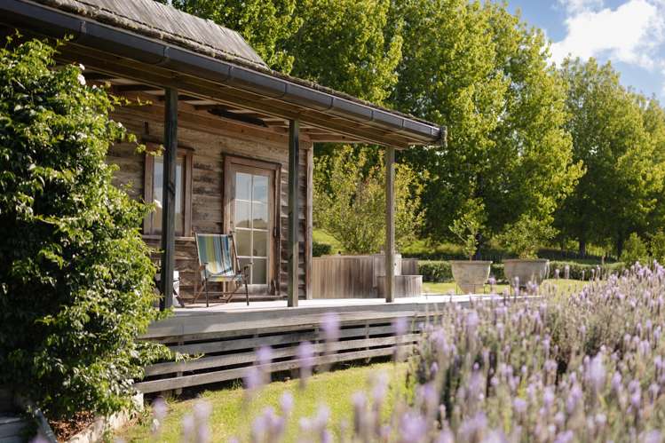 Andersons Cove Mangawhai_11