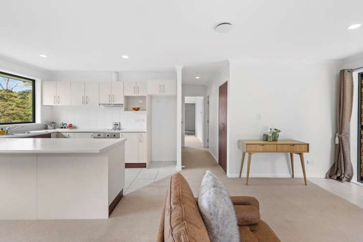 51 Wright Road Dairy Flat_20
