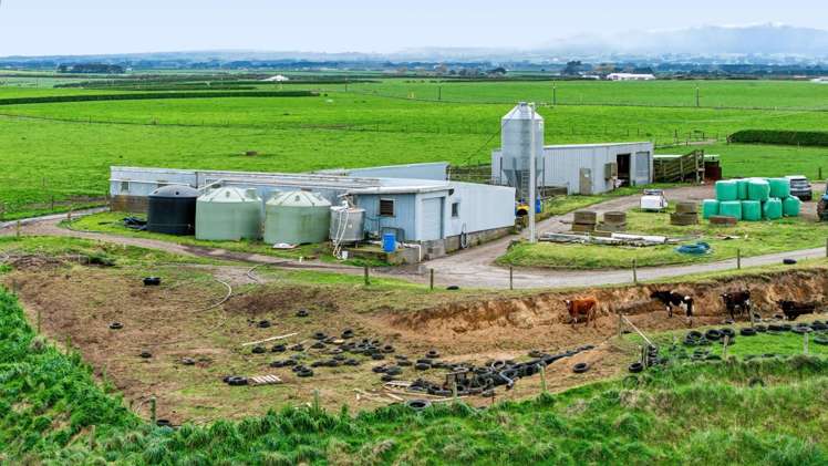 683 Normanby Road Okaiawa_29