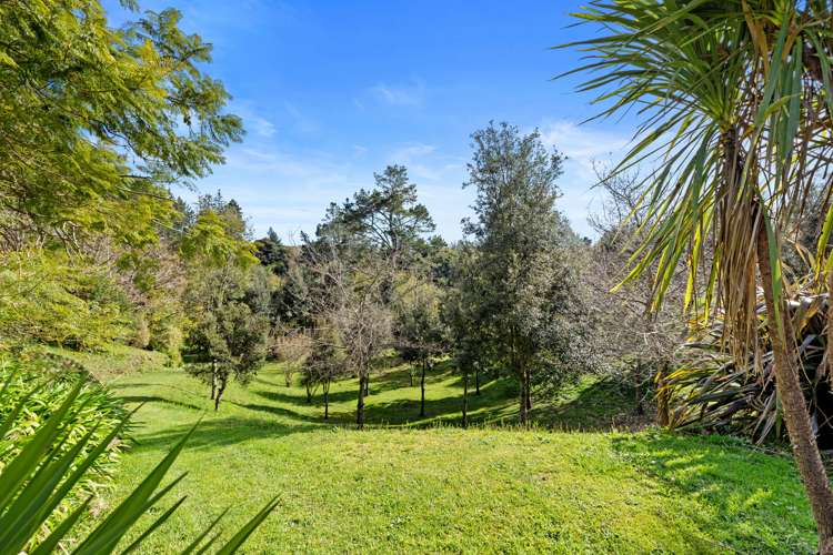 554 Rangiuru Road Te Puke_19