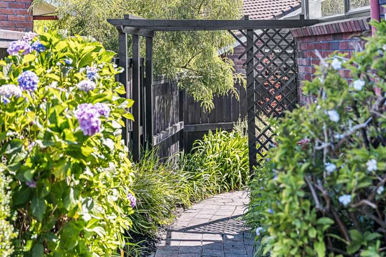 4/55 Alberta Street Point Chevalier_5