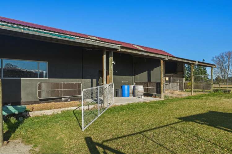 243 Mount Thomas Road Fernside_16