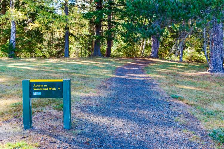 23 Torquay Terrace Hanmer Springs_19