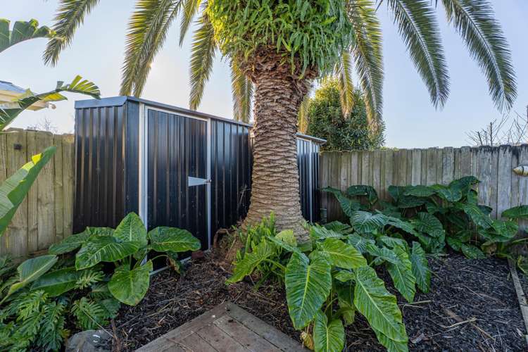 51a Cook Drive Whitianga_24