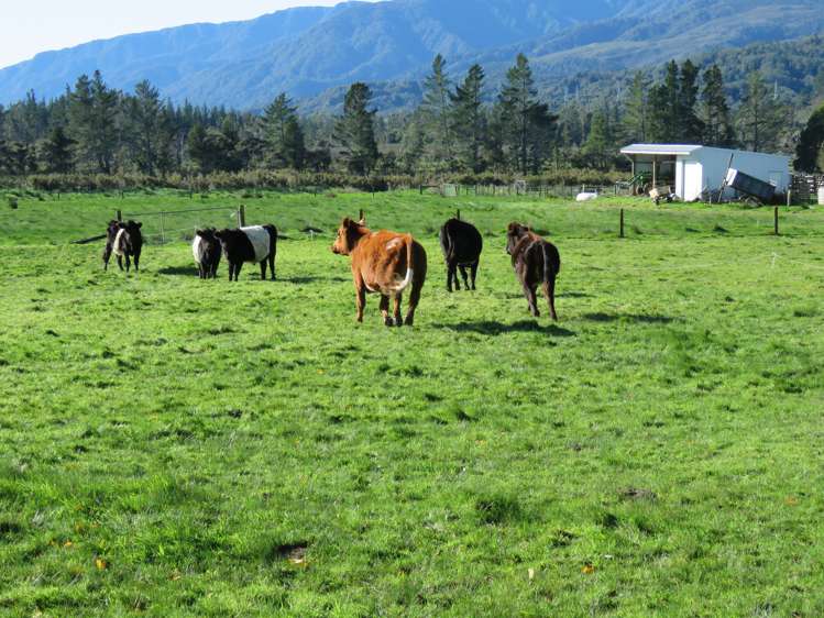 915 State Highway 67 Fairdown_20