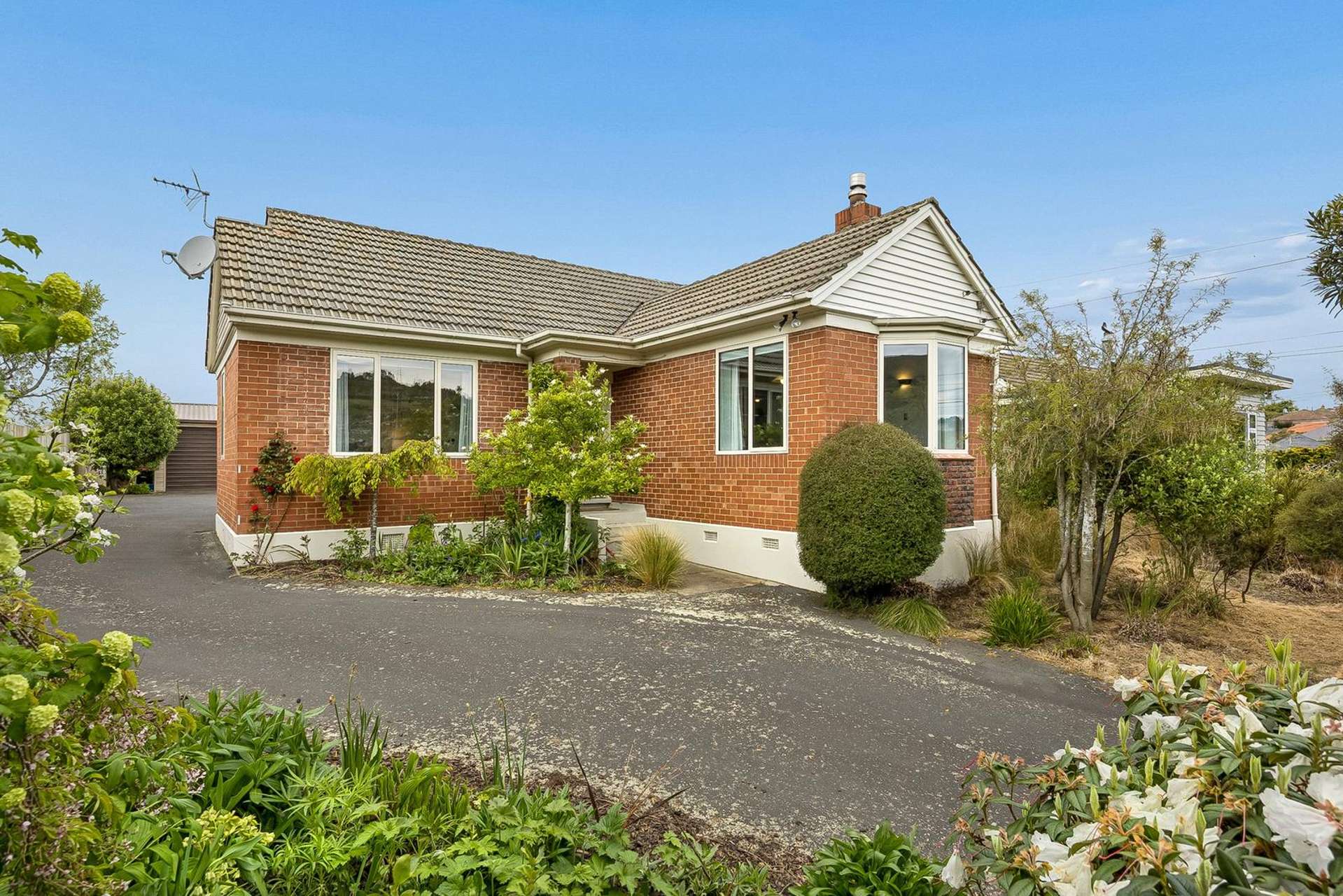 50 Mayfield Avenue Wakari_0