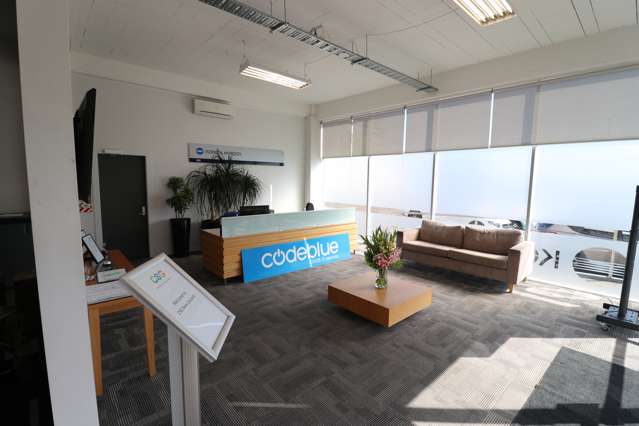224 Taranaki Street Te Aro_4