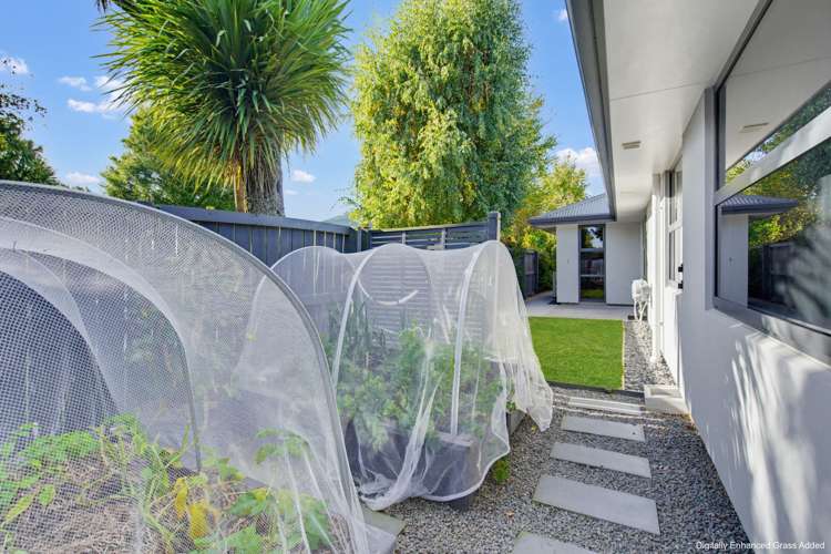 23c Elizabeth Street Allenton Allenton_29