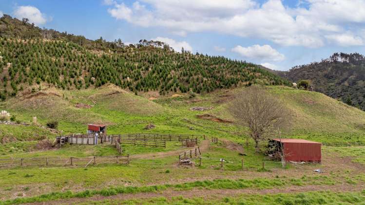 956 Otara Road Opotiki_7