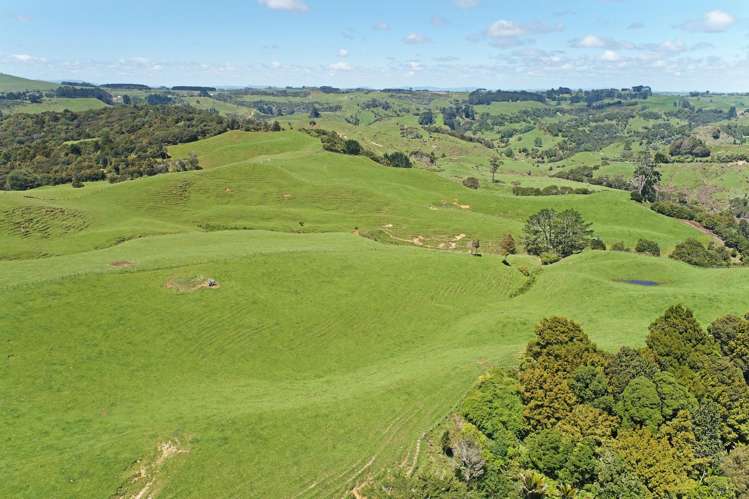 357 Onewhero-Tuakau Bridge Road Onewhero_7