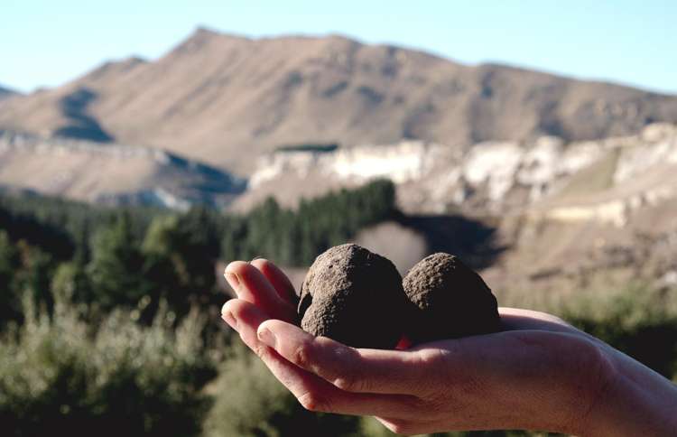 101 Laidmore Road Broomfield_18