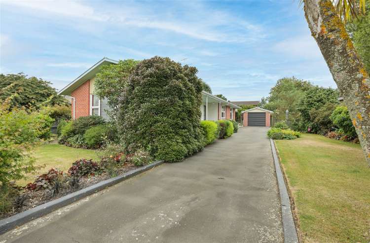 33 Bird Street Hampstead_15