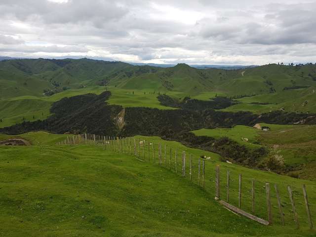 4064 State Highway 4 Kakatahi_3