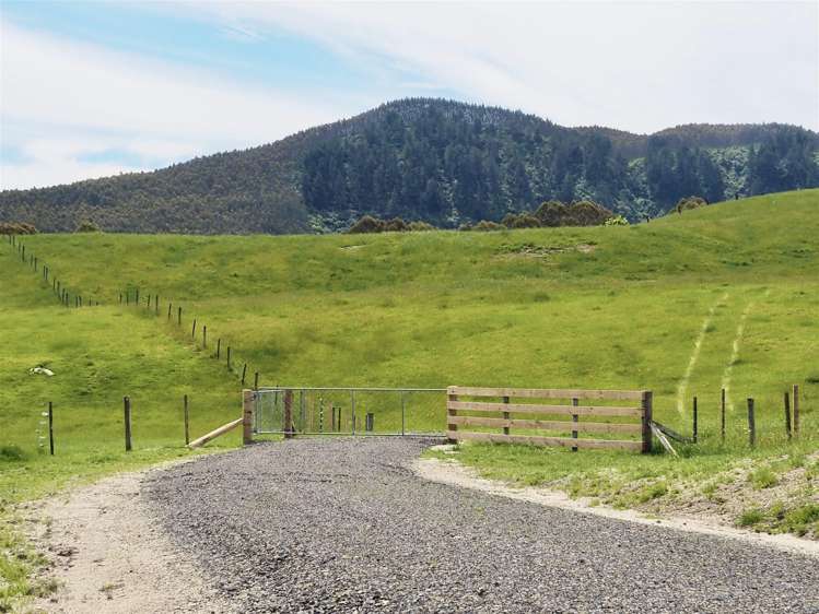 172 Hitiri Road Kinloch_6