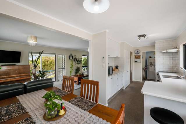 10 Keepa Avenue Paeroa_3