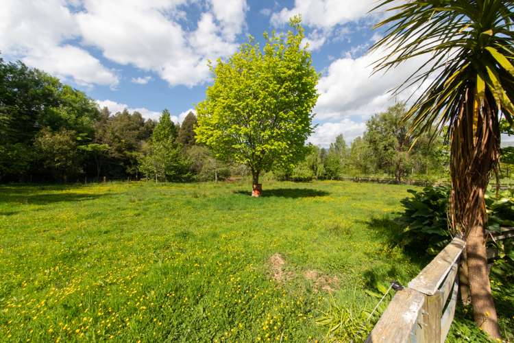 1223 Pohangina Road Pohangina_12