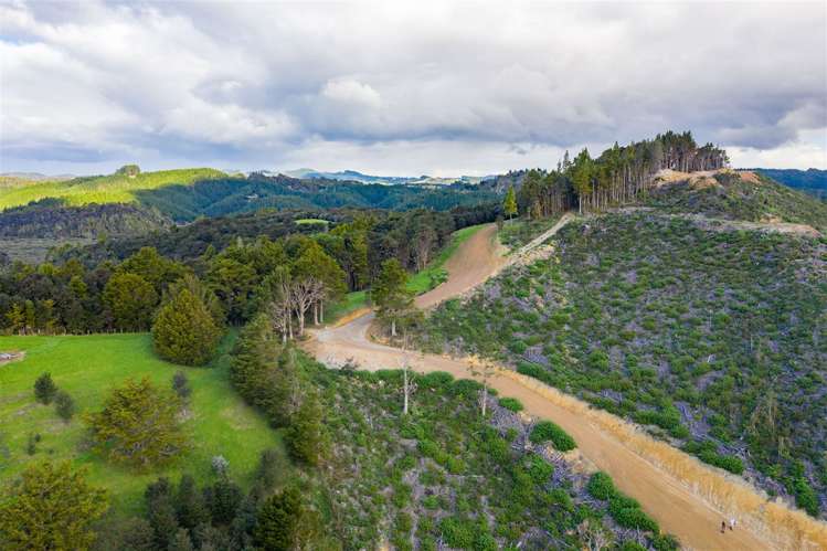 1458 Ngunguru Road Ngunguru_22