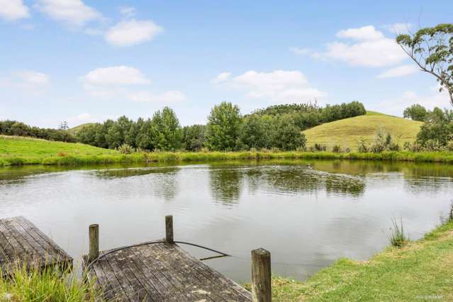 14 Charis Lane Wellsford_3