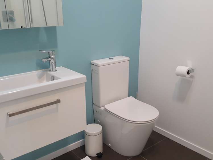 3j Laxon Terrace Remuera_10