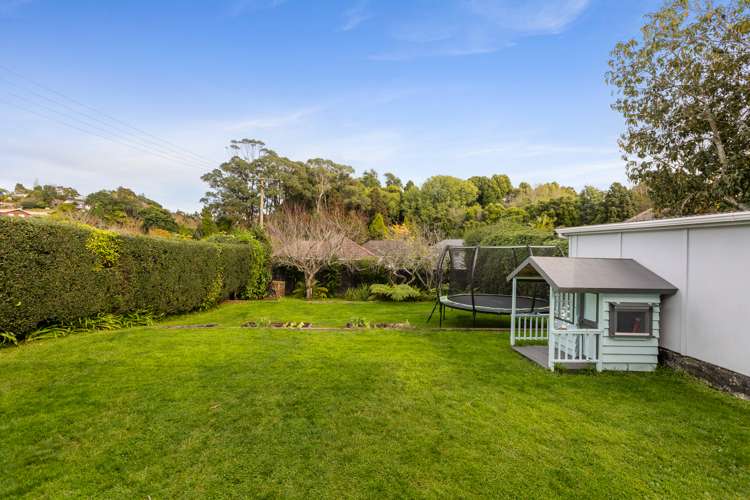 7 Camden Street Vogeltown_16