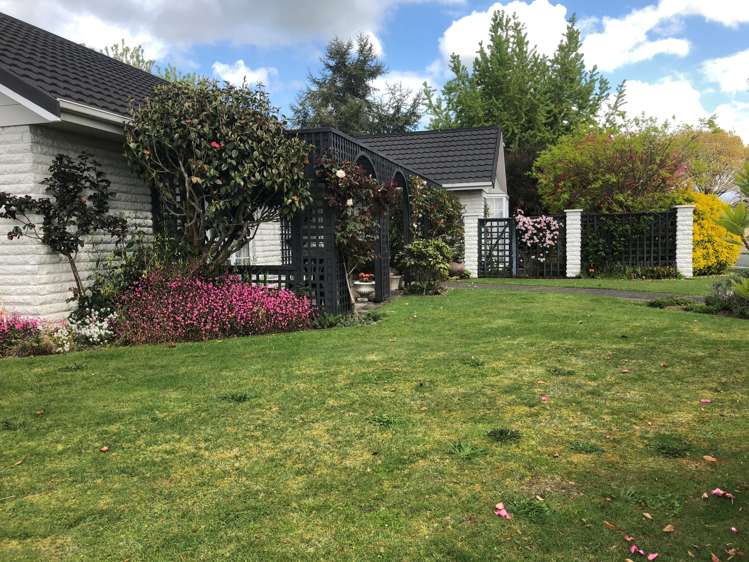 19 Weka Street Matamata_1