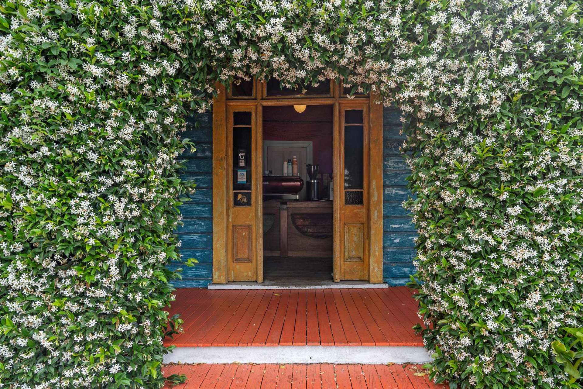 211 Haven Rd Beachville_0