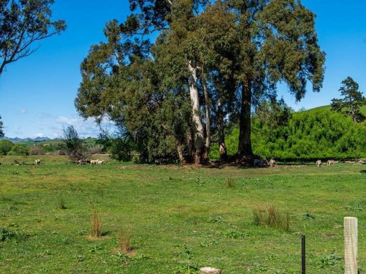 264 Hawkesbury Road Hawkesbury_10