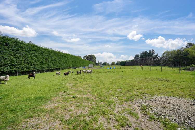 72 Millton Park Road Mill Road_41