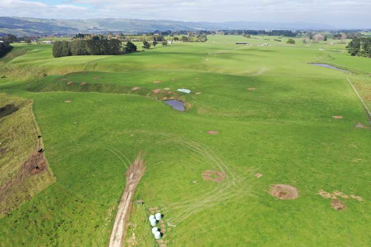 Spur Road Ashhurst_7