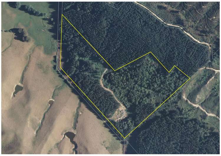 Waiwhero Road Ngatimoti_17