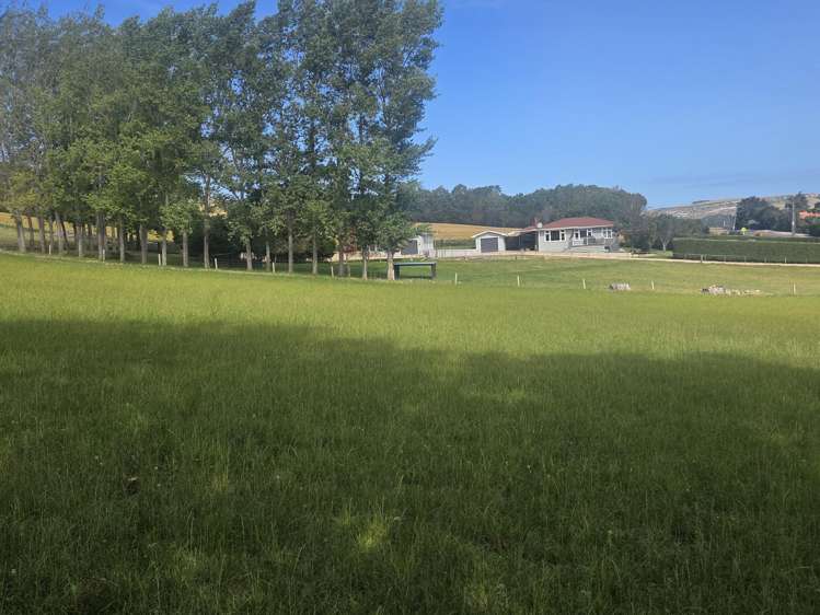 386 Weston-Ngapara Road Whitstone_8