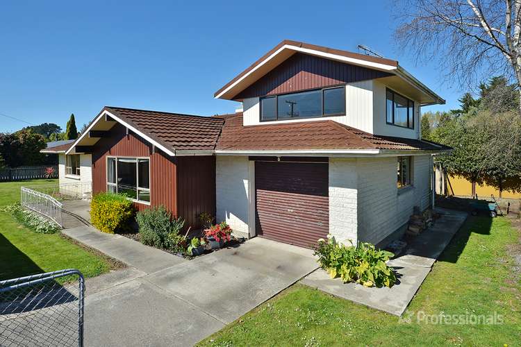 117 East Street Greytown_11