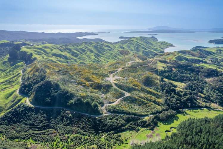 Lot 3 Whakapirau Road Kawhia_5