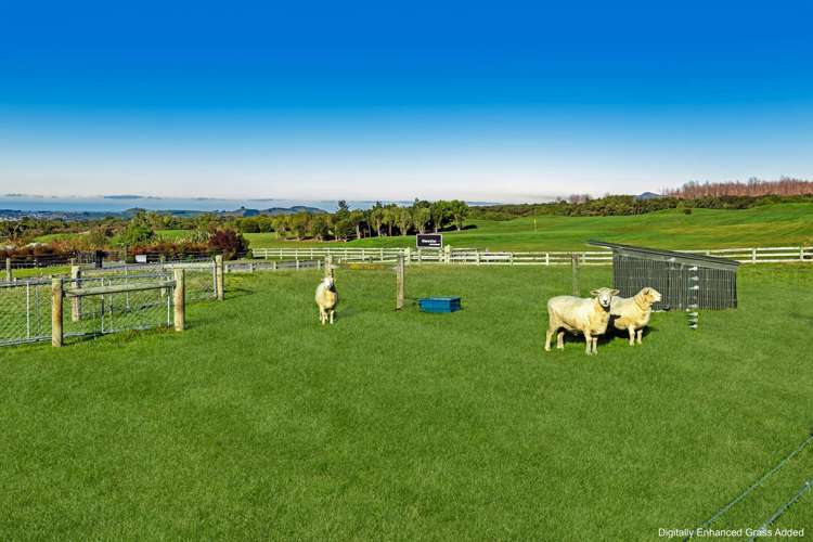 72A Koura Bay Drive Kaikoura_11