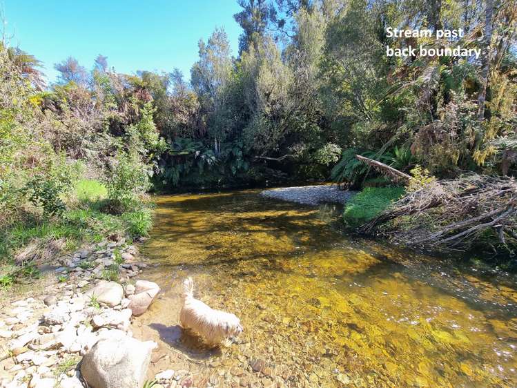 Blue Spur Road Hokitika_13