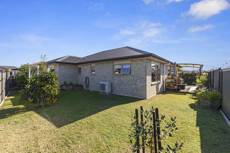 9 Peter Way Place Glenview_14
