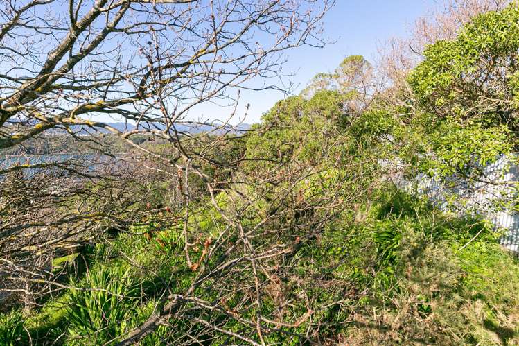 55 Kainui Road Hataitai_26