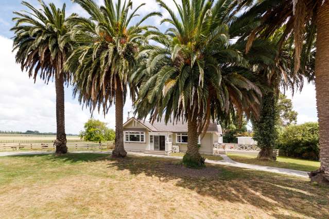 82 Bell Road West Halcombe_4