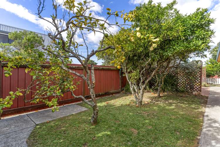 42 Monowai Street Mount Maunganui_10
