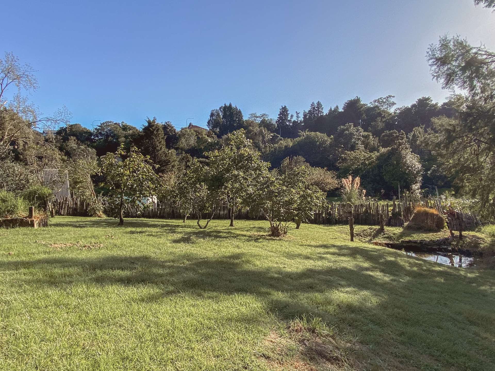 2 - 5 Marjorie Lane Kensington_0