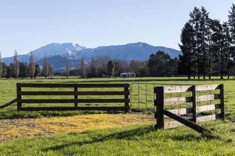 204 Silverton Road_5